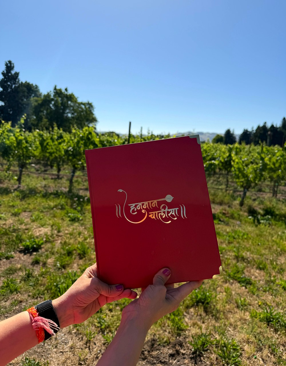 Hanuman Chalisa — hand holding the crimson hardcover book in a vineyard under blue sky